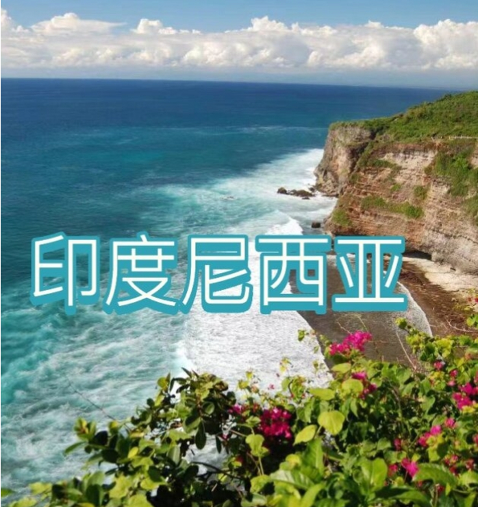 国国际电商(印尼)产业博览会新葡京娱乐场app2025中(图3) 国国际电商(印尼)产业博览会新葡京娱乐场app2025中(图3)