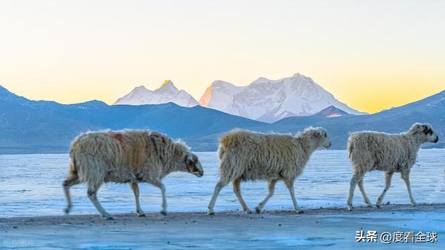 徒步天堂！西藏库拉岗日雪山圣湖美到窒息新葡京娱乐场app藏在喜马拉雅深处的(图2)