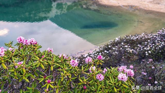徒步天堂！西藏库拉岗日雪山圣湖美到窒息新葡京娱乐场app藏在喜马拉雅深处的(图24)