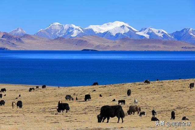 徒步天堂！西藏库拉岗日雪山圣湖美到窒息新葡京娱乐场app藏在喜马拉雅深处的(图20)