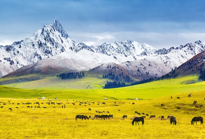 大必去景点纯玩跟团旅行社前十指南新葡京娱乐新疆旅游15天费用？十(图8)